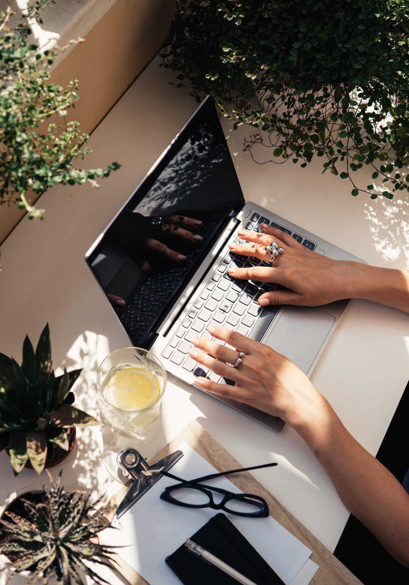 Woman Real Estate agent hands working on laptop keyboard, cozy workplace with home plants closeup